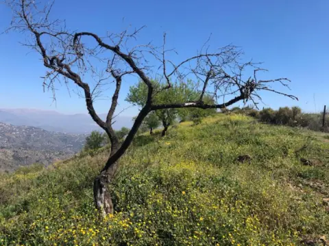 Terreno en Centro Histórico-La Merced